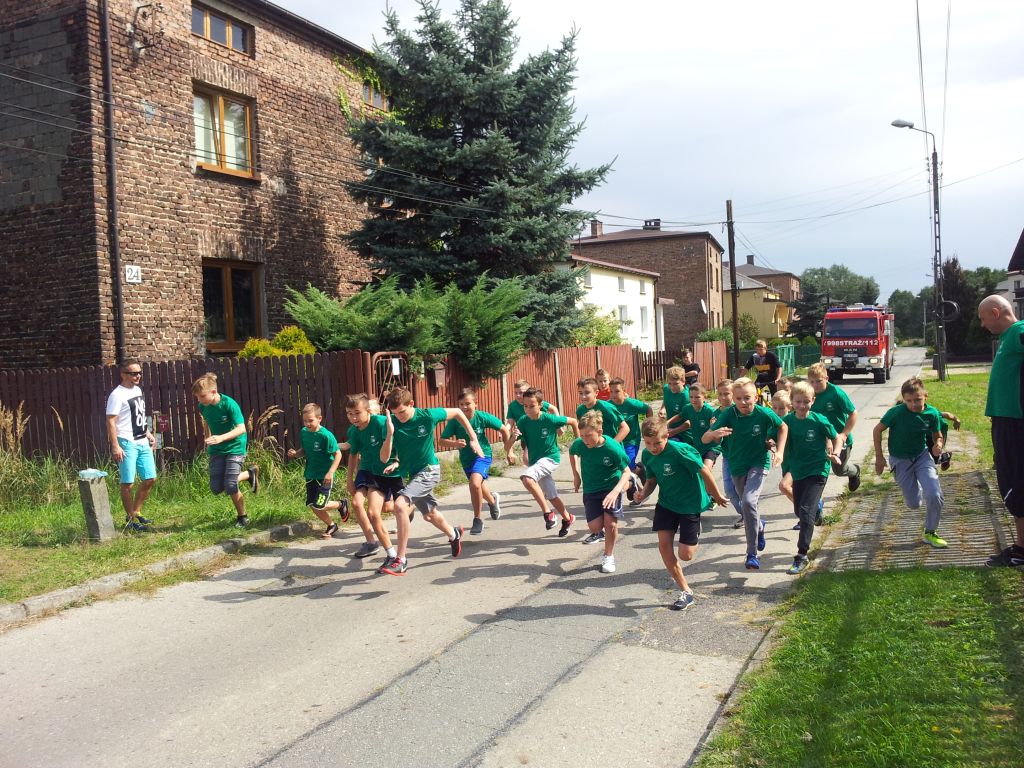 8b